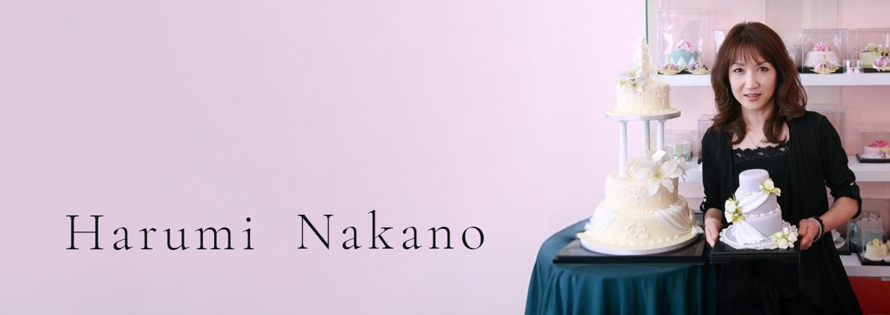 中野先生の紹介写真